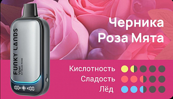 Funky Lands Vi30000 POD-1 "Icy Blue Rose / Черника Роза Мята" 20